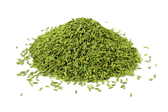 heap of dried green fennel seeds or Saunf herb also known as variyali mukhvas in india, isolated cutout in transparent background, png format