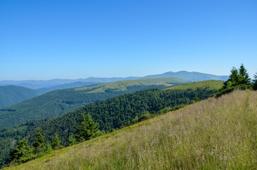 Naklejka premium Serene beauty of hillside landscape covered in greenery, surrounded by forest. Capturing the essence of nature, this image exudes tranquility and the wonder of the great outdoors. Carpathian Mountains