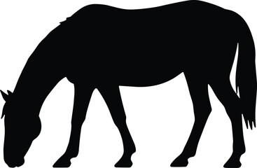 vector silhouette, grazing horse head down, side view, solid black