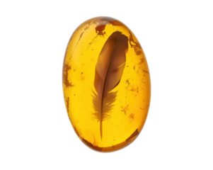 Timeless beauty of a feather frozen in amber a relic of prehistoric birds ages ago captured forever