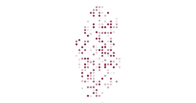 Minimal Generative Qatar Map With Circles
