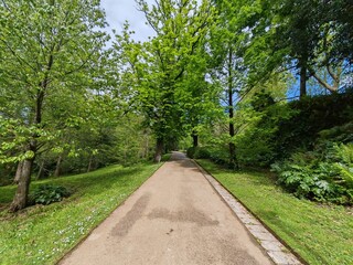Shaded walking path through green park