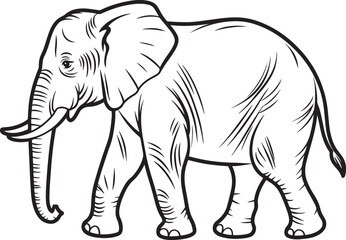 Detailed Elephant Line Art for Coloring Books and Creative Projects with Intricate Details