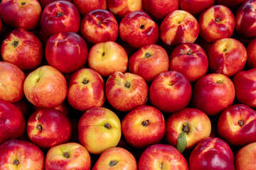Red apples displayed at selling point market pattern