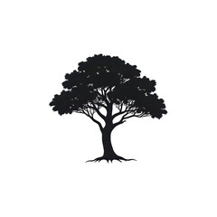 Fototapeta premium Silhouette of a majestic spreading tree with visible roots on a white background