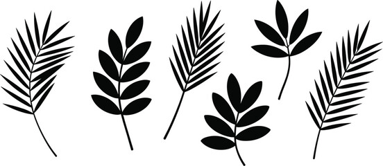 Collection of Black Silhouette Tropical Leaves and Branches on White Background foliage plant
