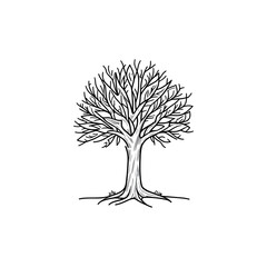 Naklejka premium Detailed hand drawn sketch of a bare deciduous tree with visible roots and intricate branches against a white background