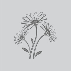 Daisy Vintage Black Flower Illustration