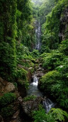 Waterfall in lush jungle landscape