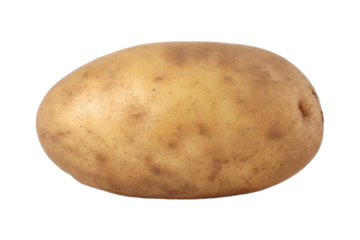 Close-up of a fresh brown potato with smooth skin