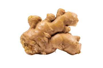 Fresh ginger root isolated on black background