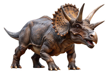 Fototapeta premium Triceratops dinosaur prehistoric creature isolated on a transparent background