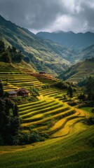 Terraced rice fields in a mountainous landscape