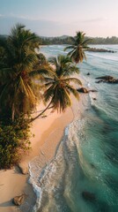 Secluded beach with palm trees and gentle waves
