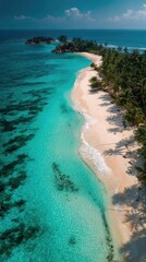 Serene beach with turquoise waters and palms