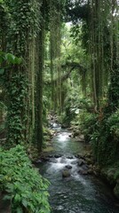 Tropical rainforest with flowing river