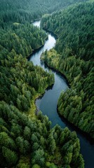 River winds through lush green forest