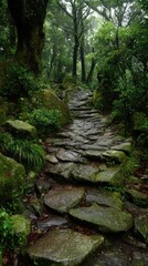 Explore a winding stone path through a lush forest