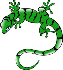 green gecko vector illustration isolated on white background
