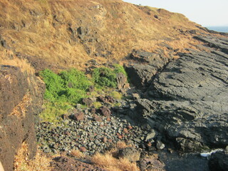 Rocky coastal landscape with green vegetation and dry terrain  