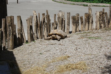 monta&ntilde;as, r&iacute;os, lagos, bosques, playas, desiertos, praderas, acantilados, valles, cascadas, volcanes, glaciares, colinas, selvas, tundra, sabana, ca&ntilde;ones, dunas, arrecifes, estepas, marismas, pantanos