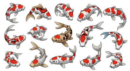 Obraz premium A collection of koi fish swimming in various directions and orientations