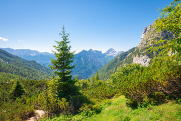 Obraz premium Scenic mountain landscape of the Julian Alps with forest vegetation and blue sky