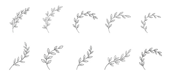 Fototapeta premium a collection of sketched fern or leaf shapes, sketchy line drawings of foliage, simple botanical illustrations, minimalist plant motifs, nature-inspired design elements, organic line art patterns
