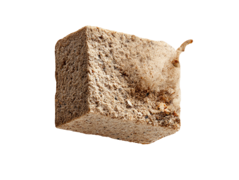 Close-up of a light brownish-tan, square food item.  A small root or stem protrudes from one edge.  Rough texture