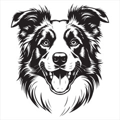 Majestic Border Collie Portrait Striking Black and White Illustration of a Loyal Canine Companion with Expressive Features