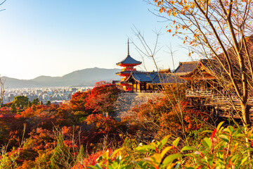 Obraz premium Kiyomizu-dera buddhist temple and gardens at autumn sunset, Kyoto, Japan