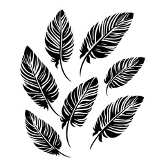 Obraz premium Set of falling tropical feathers silhouette, elegant botanical plumage collection vector illustration
