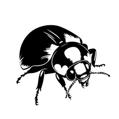 Realistic scarab beetle silhouette crawling insect, detailed entomology vector illustration icon