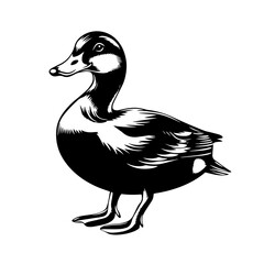 Detailed standing duck silhouette waterfowl bird for farm or wildlife design, elegant mallard vector illustration icon