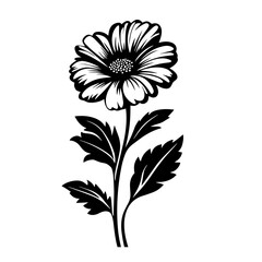 Single stem daisy flower silhouette with detailed petals and leaves, elegant botanical vector illustration icon