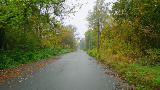 Footage captures the eerie and overgrown Lenin Street within the Chernobyl Exclusion Zone, showcasing the abandoned buildings and nature reclaiming the urban environment decades after the nuclear disa