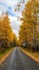 Fototapeta premium Autumn road through golden trees (3)