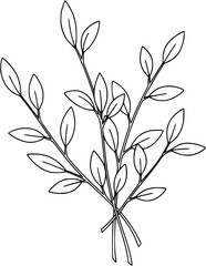 "Hand Drawn Botanical Twigs & Leaves Bundle &ndash; Black and White Vector Set"