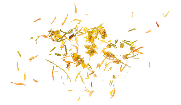 Close up dried Saint John's wort petals, seeds, leaves and flower flying (Hypericum perforatum) isolated on white background, clipping path,  - Powered by Adobe