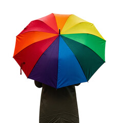 a person from the back holding a colorful umbrella