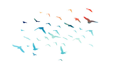 Flying birds blue and orange silhouette flock. hand drawing. Not AI. Vector illustration.