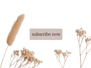 Dried Flowers with Subscribe Button on White Background
