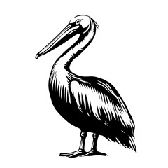 Standing pelican profile silhouette with long beak and pouch – coastal seabird symbol for beach, seafood or wildlife themes