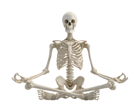 Human skeleton in lotus position, illustrating anatomy, health, meditation, and mindfulness concepts.