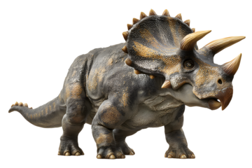 Realistic Triceratops dinosaur ready to explore prehistoric world, perfect for educational projects and design