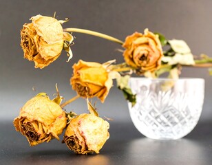 Dried yellow roses in a glass bowl