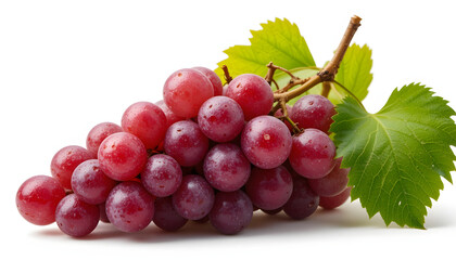 Fototapeta premium Bunch Of Vibrant Red Grapes With Green Leaves Attached To A Small Brown Branch Against A Bright Transparent Background
