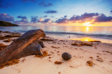 Fiji sea hideaway log coconut sun
