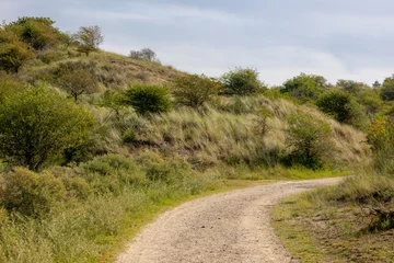 Keuken achterwand Noordzee Nature path and slope or hilly dune with green grass under blue sky, Zuid-Kennemerland National Park between Bloemendaal and the Dutch North Sea, Located in the province of North Holland, Netherlands.  © Sarawut