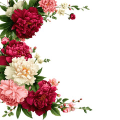 Fototapeta premium A crescent arrangement of crimson, pink, and white peonies and blossoms against a transparent background. background removed